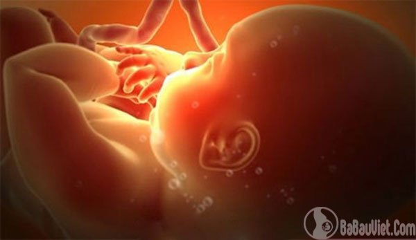 Khả năng kỳ diệu của thai nhi trong bụng mẹ có thể bạn chưa biết