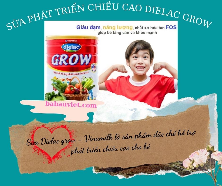 sua phat trien chieu cao Dielac grow