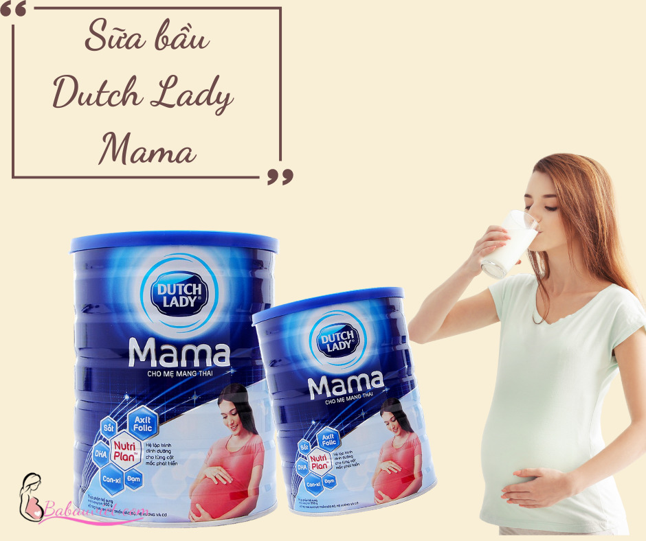  Sữa bầu Dutch Lady Mama có tốt không?