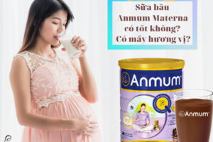 Review sua bau anmum co tot khong co may vi nuoc nao