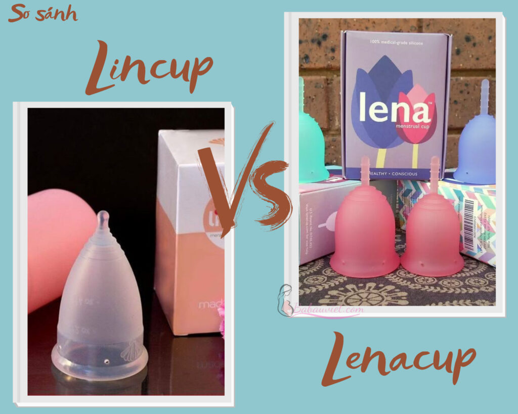  So sánh Lincup và Lenacup nên chọn loại nào tốt hơn