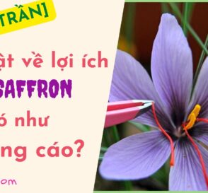 Sự thật về lợi ích của saffron với sức khỏe có như quảng cáo
