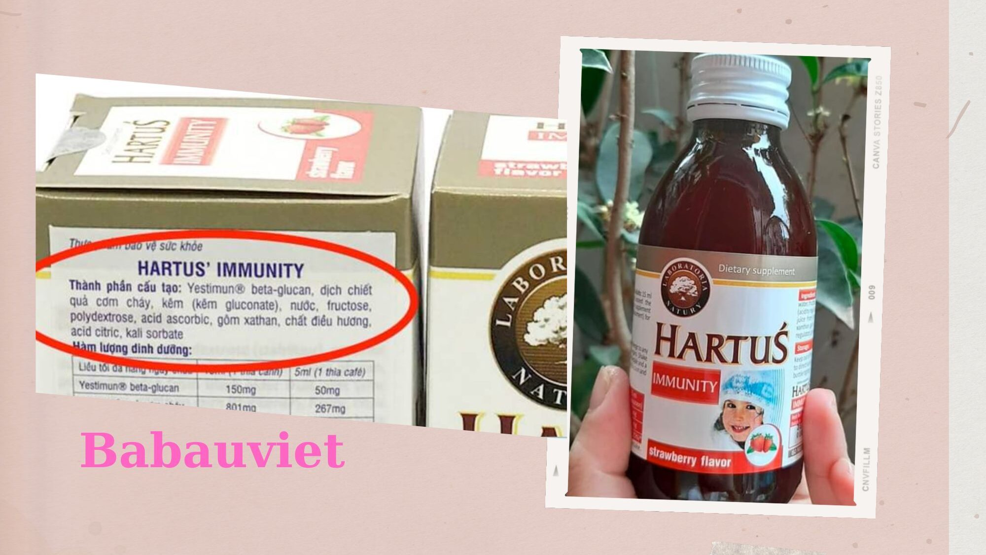 Thành phần Hartus Immunity có tốt không?